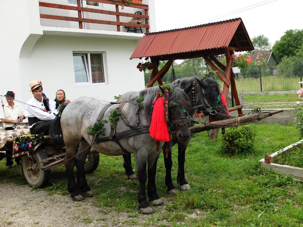 Pension Ioana Lavita วาดูอิเซ ภายนอก รูปภาพ